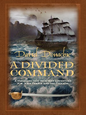 cover image of A Divided Command